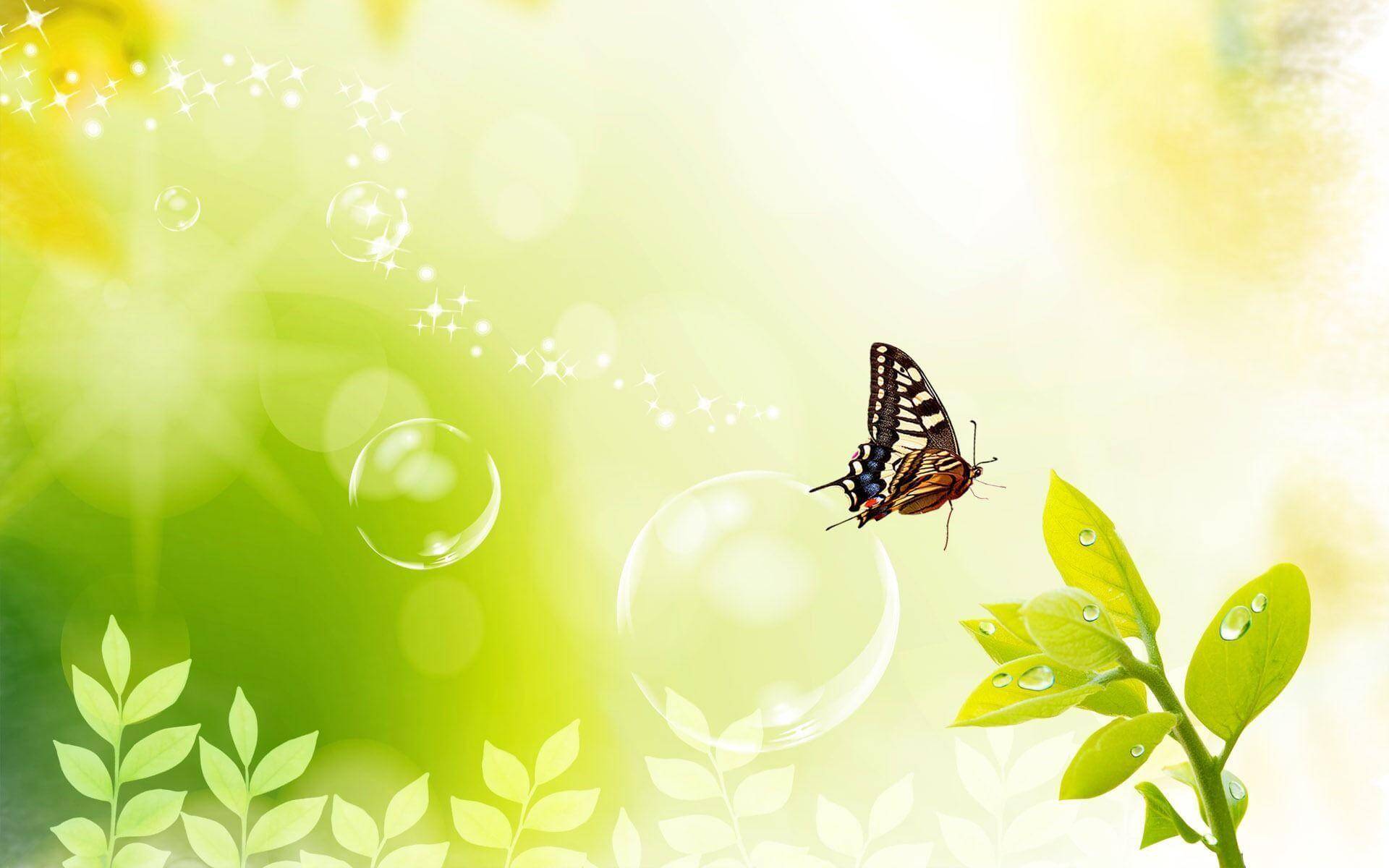 A butterfly flutters near vibrant green leaves with dewdrops against a soft green and yellow backdrop. Bubbles and sparkles add a whimsical touch.