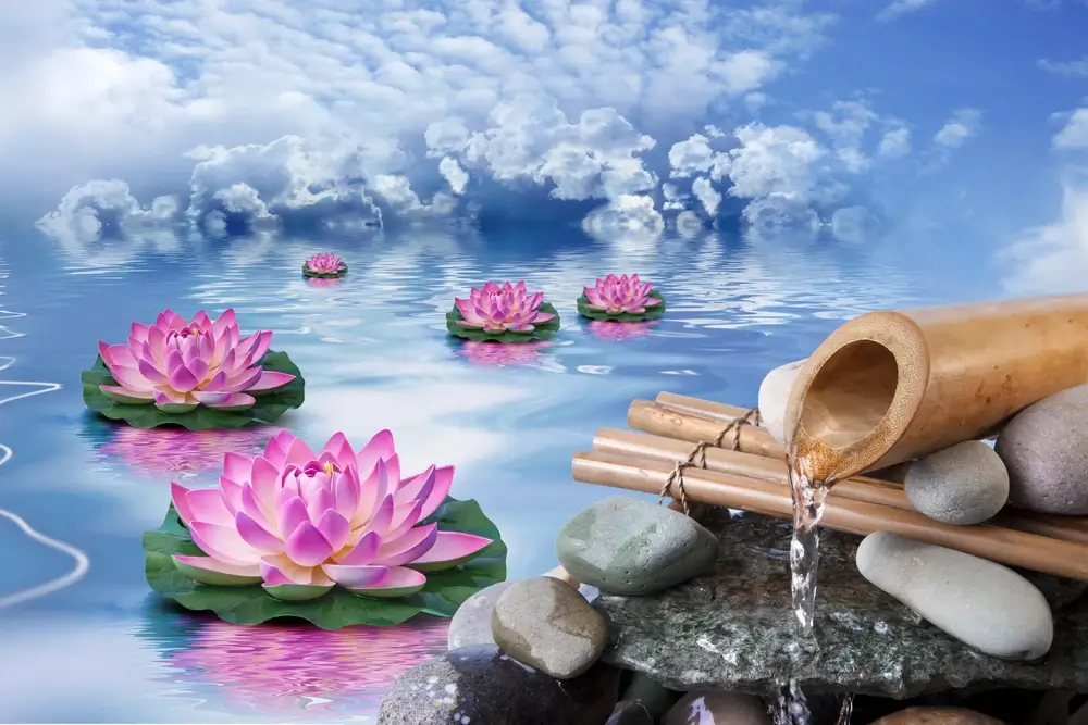 Serene scene with pink lotus flowers floating on calm water under a cloudy sky. A bamboo fountain pours water over smooth stones.