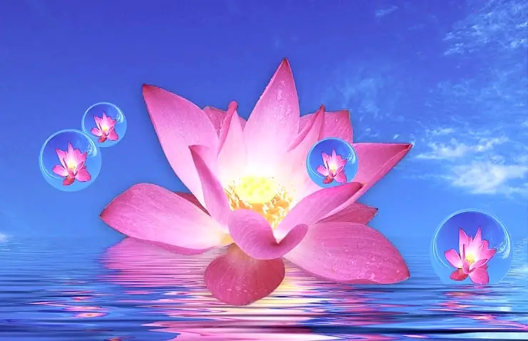 A vibrant pink lotus flower floats on calm water. Reflections shimmer beneath. Smaller lotus flowers in transparent bubbles. Clear blue sky.